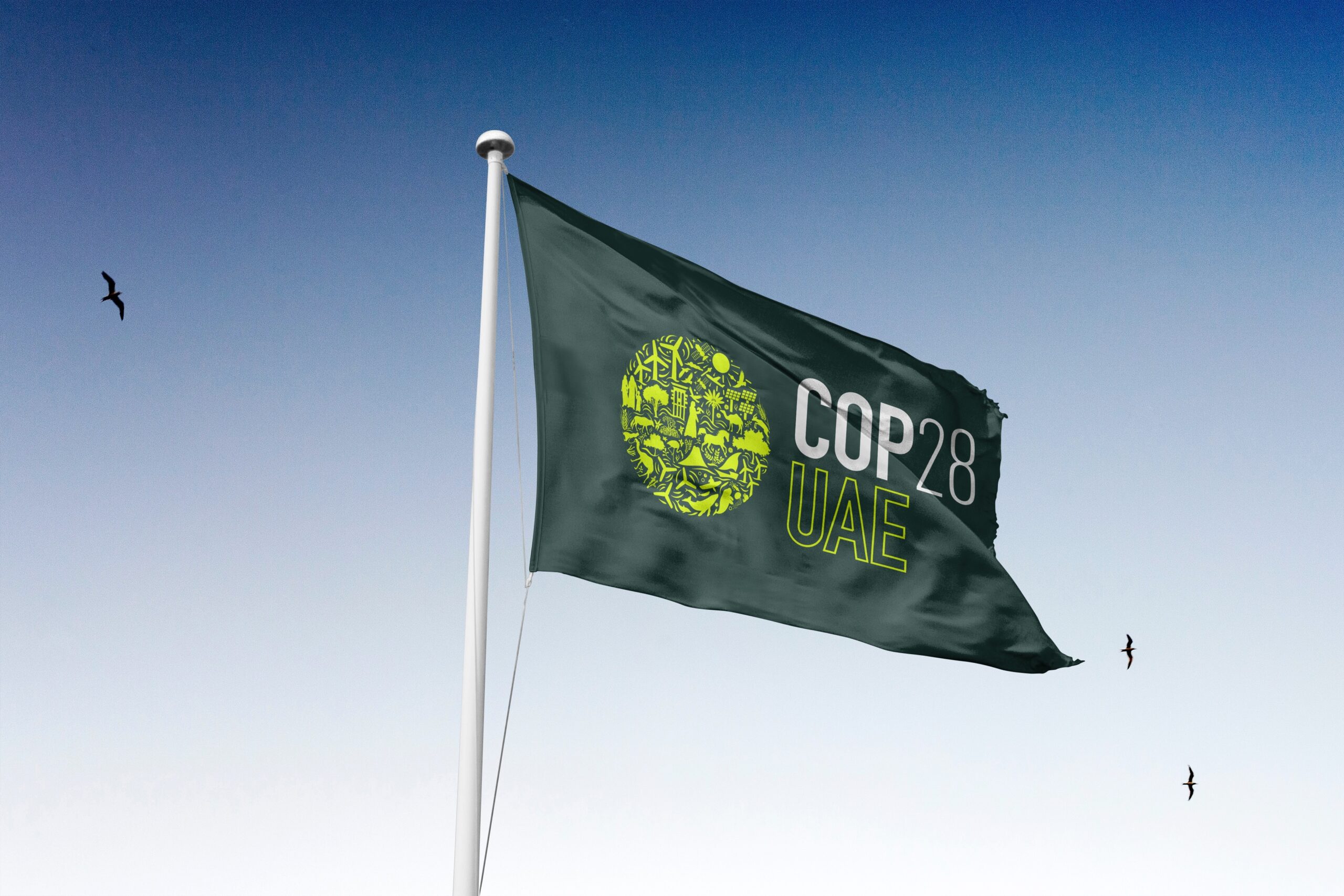 COP28